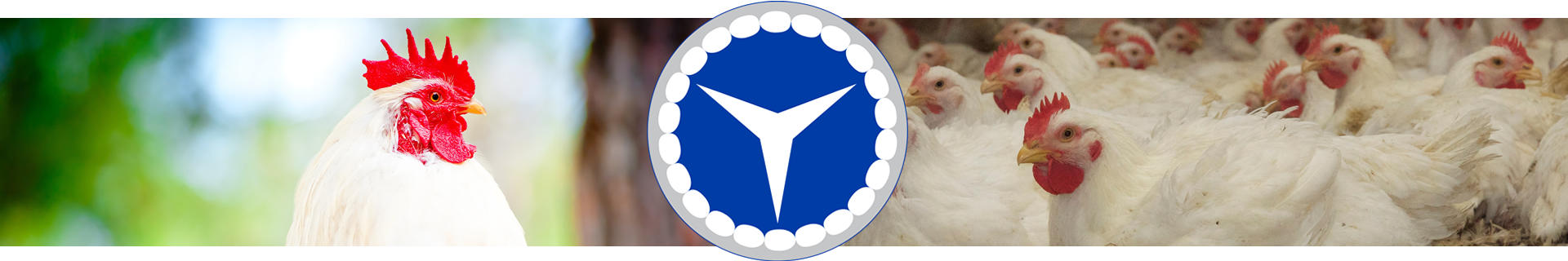 join-our-team-banner-1920-1 join-our-team-banner-1920-1