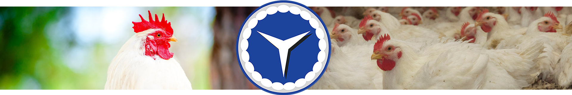 join-our-team-banner-1920-3 join-our-team-banner-1920-3